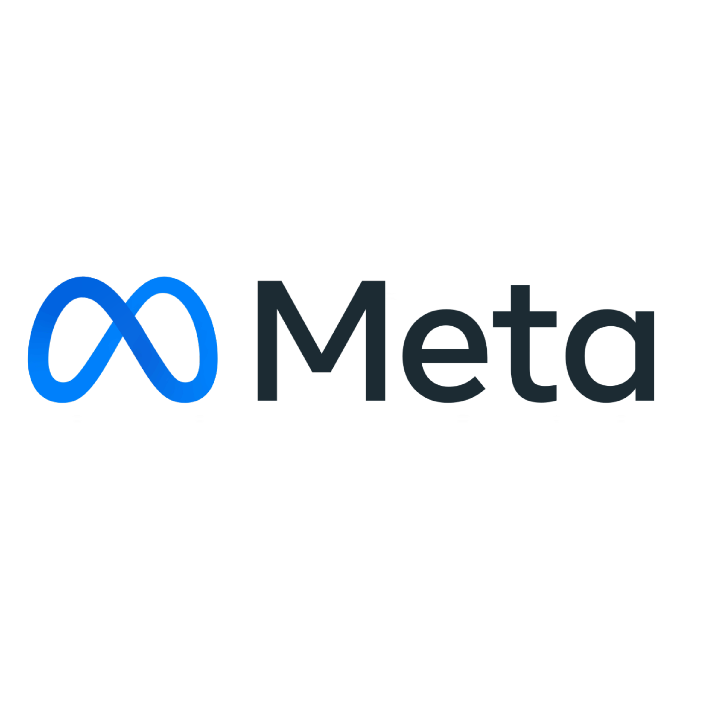 Meta Ads Management